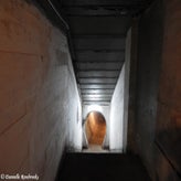 24bunkerdagzo5jun22.jpg