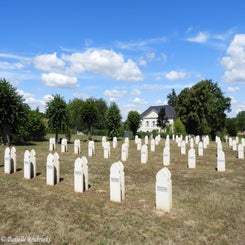 14cutsfma4jul22.jpg