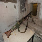 23bunkerdagzo5jun22.jpg