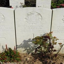 18TenTreeAlleyCemeterydi21sep21.jpg