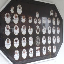 26Frelinghien.jpg