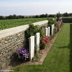 61TenTreeAlleyCemeterydi21sep21.jpg