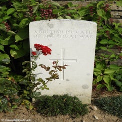 69TenTreeAlleyCemeterydi21sep21.jpg