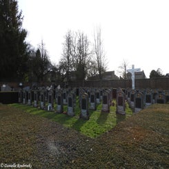 119veldwezeltcommunaldi15feb22.jpg