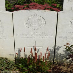 15TenTreeAlleyCemeterydi21sep21.jpg