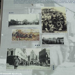 04LaDsolationFlavigny-le-Petitvr22ma19.jpg