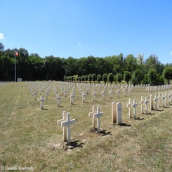 11cutsfma4jul22.jpg