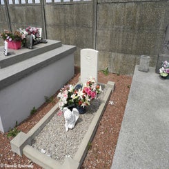 02FenainComCemwoe22mei19.jpg
