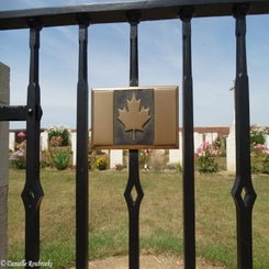 06SunkenRoad2ndCanadianContalmaisonwoe17jul19.jpg