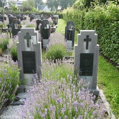 08HechtelCommunalvr9jul21.jpg