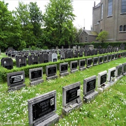 07edegemma8mei23.jpg