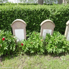 09leffingecommunaldo11mei23.jpg