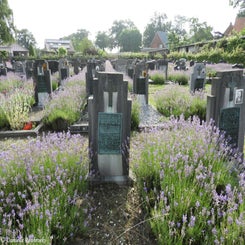 04HechtelCommunalvr9jul21.jpg