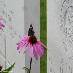 23Ieperwandelingza31jul21.jpg