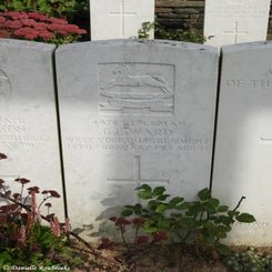 42TenTreeAlleyCemeterydi21sep21.jpg