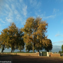 01NineElmswoe19okt16.jpg