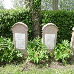 10leffingecommunaldo11mei23.jpg