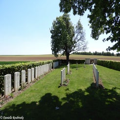 10RookeryBCwoe15mei19.jpg