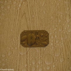 DSC03051-1.jpg