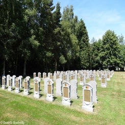 12VeltemBeisem.jpg