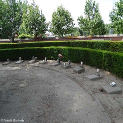 09Wespelaar.jpg