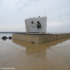 35bunkerdagzo5jun22.jpg