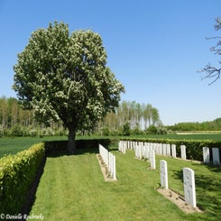 12RookeryBCwoe15mei19.jpg