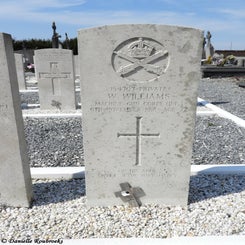 04TaintigniesComzo18apr21.jpg