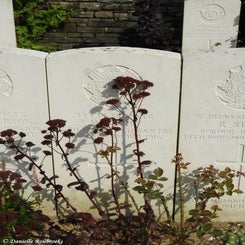26TenTreeAlleyCemeterydi21sep21.jpg