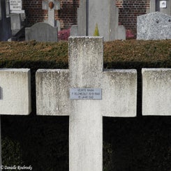 21veldwezeltcommunaldi15feb22.jpg