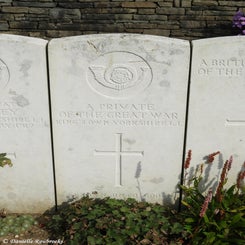 52TenTreeAlleyCemeterydi21sep21.jpg