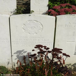 47TenTreeAlleyCemeterydi21sep21.jpg