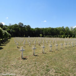 09cutsfma4jul22.jpg