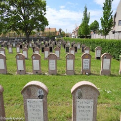 09middelkerkecommunaldo11mei23.jpg
