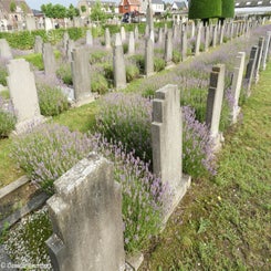 15HechtelCommunalvr9jul21.jpg