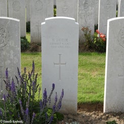 65TerlincthumBritma14aug17.jpg