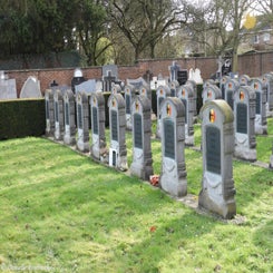 118veldwezeltcommunaldi15feb22.jpg