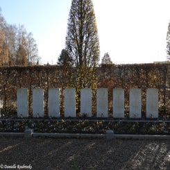 18HollerichComCemza30nov19.jpg