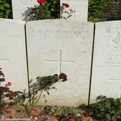 29TenTreeAlleyCemeterydi21sep21.jpg