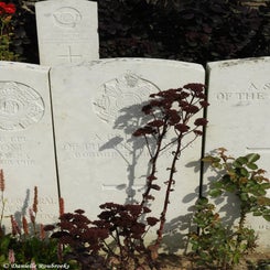 22TenTreeAlleyCemeterydi21sep21.jpg