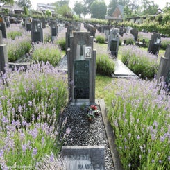 05HechtelCommunalvr9jul21.jpg