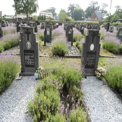 22HechtelCommunalvr9jul21.jpg