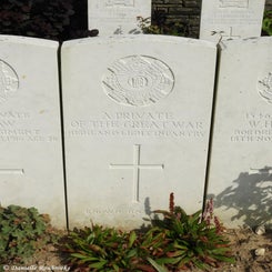 19TenTreeAlleyCemeterydi21sep21.jpg