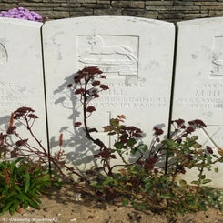 10TenTreeAlleyCemeterydi21sep21.jpg