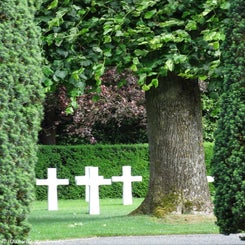 19FlandersField.jpg