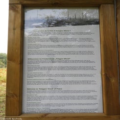 51Vredesbos26sep17.jpg