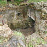 117bunkerdagzo5jun22.jpg