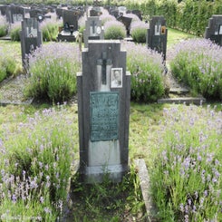 07HechtelCommunalvr9jul21.jpg