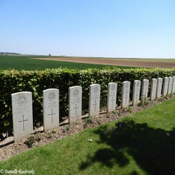 11RookeryBCwoe15mei19.jpg