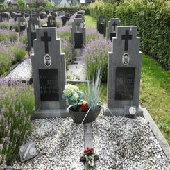 18HechtelCommunalvr9jul21.jpg